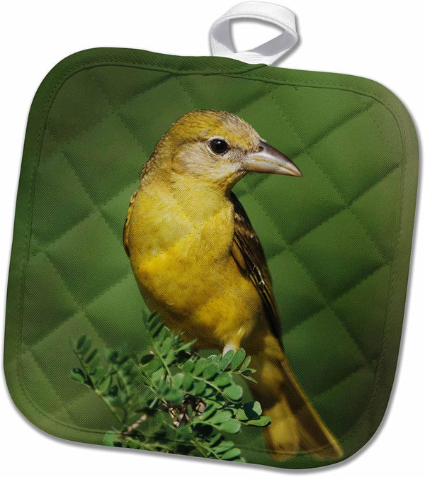 3D Rose Pot Holder, Summer Tanager Bird On Catclaw-Texas-Na02 Rnu0801-Rolf Nussbaumer, 8" x 8"