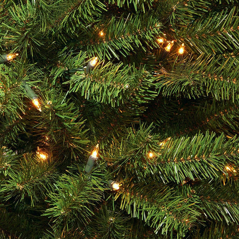 50 8 2 Pack Christmas Lights - Battery Operated String Lights LED String Lights Mini Lights with Auto-Timer