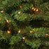 50 8 2 Pack Christmas Lights - Battery Operated String Lights LED String Lights Mini Lights with Auto-Timer
