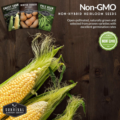 Three Sisters Collection Seed Vault - Non-GMO Heirloom Seeds for Planting Vegetables - Sweetcorn, Butternut Winter