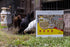 My Favorite Chicken Nesting Box Pads for Chickens - Accessories for Hens, Chicken Coops and Laying Eggs - Square Liners
