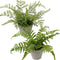 Briful 2PCS Faux Fern Eucalyptus Potted Plants, Artificial Greenery Décor for Indoor Home Office Bathroom