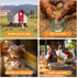 Vivaretio (17.6 OZ) Chicken Nesting Herbs and Flowers Chili Mix Supplement Coop Boxes Pads Roost Poultry House Feed