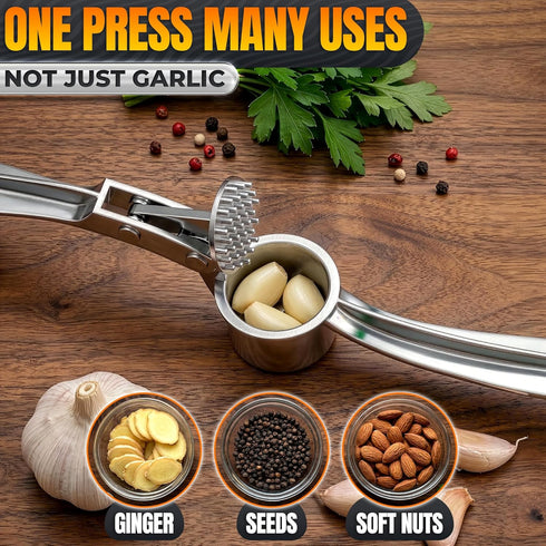 37 Stainless Steel Garlic Press - Ginger Mincer with Built-In Studs for Maximum Extraction, for Garlic, Ginger and Soft