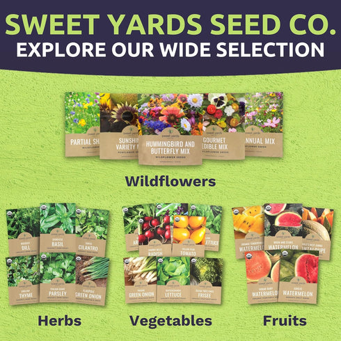 Pack 10 Packs 2026 Organic Herb Seeds Variety - Individual - Season - Basil, Cilantro, Dill, Thyme, Parsley and More!