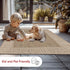 nuLOOM 2' x 3' Outdoor Area Rug, Casual Striped Border Design, Stain Resistant for Patio, Light Brown