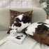 TOMWISH Pack of 2 Throw Pillow Covers - Christmas Cowhide Printing Western 18x18 Decorative Cushion Covers