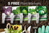 5 Packets Gardeners Basics, Cabbage Seeds for Planting Individual Bok Choy, Michihili (Napa) Chinese Cabbage, Red