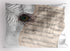 Lunarable Peacock Pillow Sham, Music Notes Sheet Texture with Peacock Feather Evil Eye, Decorative Standard Queen Size
