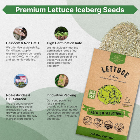 Pack 1 800 Packet, Organo Republic Lettuce Oakleaf Seeds G - Over Non-GMO Heirloom Lettuce Seeds for Planting Greens