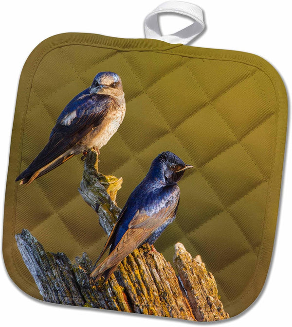 3D Rose USA-Washington, Purple Martins On A Snag Above Lake Sammamish, Pot Holder, 8 x 8