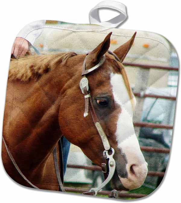 3D Rose Western Horse Show Pot Holder, 8 x 8 Size