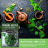 Common (1 Pack) Stinging Nettle Seeds for Planting - Urtica Dioica Medicinal Herb & Edible Perennial - Nettle for Tea