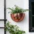 12x7 Allegorie Metal Wall Planter | Indoor or Outdoor Hanging Plant Pot | Farmhouse Decor & Boho Kitchen Decoration