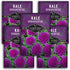 Ornamental Kale Seeds for Planting Heirloom Flowering Cabbage Variety Stunning Pink, Purple
