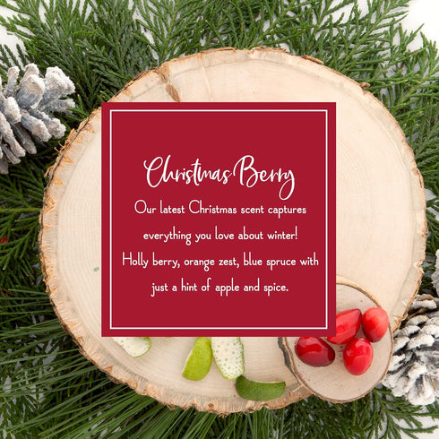 Scentsicles Christmas Berry Scented Ornaments with Hooks - 1 Bottle (6 Sticks Total)
