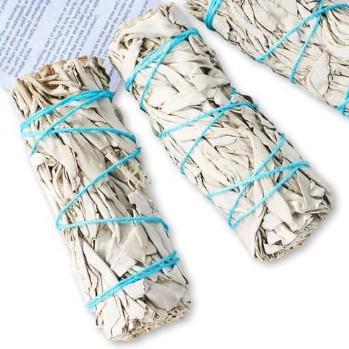 6 Pack White Sage Smudge Sticks for Cleansing Energy, Sustainably Grown, Bulk/Wholesale