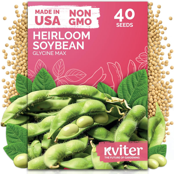 KVITER 40 Soy Bean Midori Giant Edamame Seeds (Glycine max) - Green