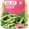 KVITER 40 Soy Bean Midori Giant Edamame Seeds (Glycine max) - Green