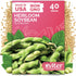 KVITER 40 Soy Bean Midori Giant Edamame Seeds (Glycine max) - Green