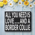 JennyGems Wooden Gift Sign - All You Need Is Love and a Border Collie - Rustic Home Decor for Dog Lovers - 8x6x1.5