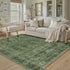 5x7 Green Washable Rug for Living Room Large Vintage Distressed Bedroom Rug Low Pile Non-Slip Soft Boho Carpets
