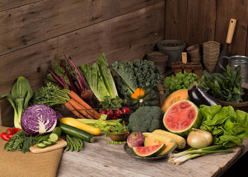 Pack Vegetable and Herb Seeds Variety for Home Garden Planting, AB