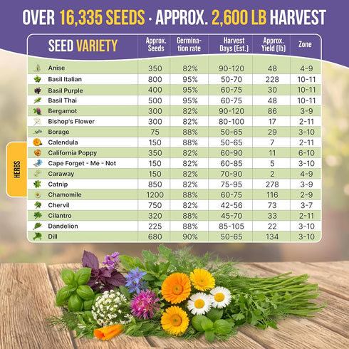 35 Pack 16,335+ Medicinal & Tea Herb Seeds Variety for Indoor & Outdoors. Non-GMO Heirloom Garden Seeds: Anise