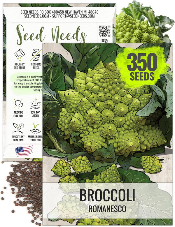 Seed Needs Cauliflower Seeds for Planting Romanesco Broccoli/Cauliflowers - Non-GMO Heirloom &