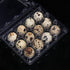 LayHyand 120 Dozen 3x4 12 Count Pcs Quail Egg Cartons, Square Egg Basket, Style Holds Up to Twelve Small Eggs Box, Bulk