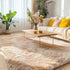 5x7 OLANLY Machine Washable Large Area Rugs for Living Room, Bedroom, Soft Fluffy Shaggy Bedside Rug, Indoor Floor