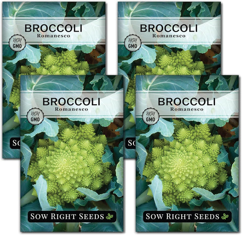 Sow Right Seeds - Romanesco Broccoli Seeds for Planting - Non-GMO Heirloom