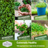 Pack 10 Packs Microgreen Seeds Variety Heirloom Types for Indoor Sprouting Broccoli, Pea, Sunflower, Radish, Kale