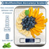 Moss and Stone Digital Kitchen Scale, Multifunction Accuracy Scale with LCD Display, 11 Lb 5 Kg, Stainless Steel