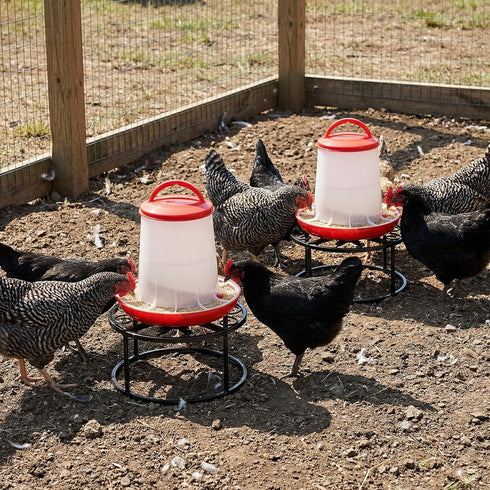 2 Pack Cedilis Chicken Feeder Stand, Heavy Duty Iron Stand for Chicken Coop Poultry Feeder and Waterer Buckets Indoor