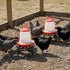 2 Pack Cedilis Chicken Feeder Stand, Heavy Duty Iron Stand for Chicken Coop Poultry Feeder and Waterer Buckets Indoor