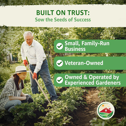 2 500+ TKE Farms & Gardens - Lacinato Kale Seeds for Planting, Grams, Heirloom Non-GMO Seeds - Dinosaur Kale, Tuscan