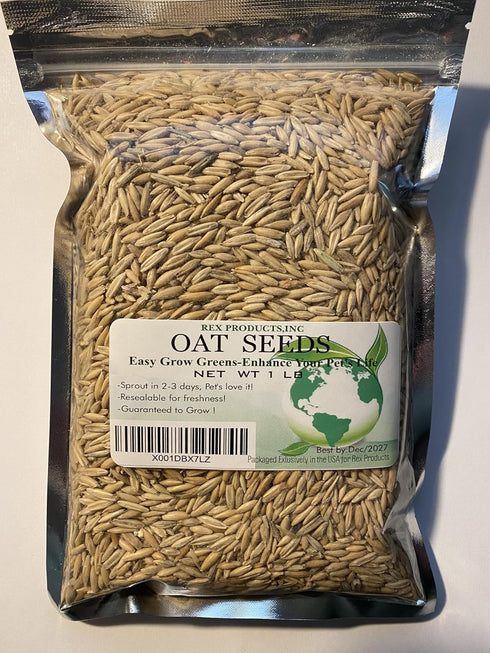 Oat Seeds Magic Grow 1 Lb (3000+ Oat Seeds Seeds)- Cat,Dog,Pets- Oat Grass Seeds