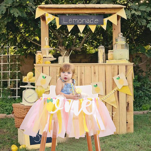 1st One Person Lemon Banner - Birthday High Chair Decor, Smashed Cake Photo Props, Piece Skirt