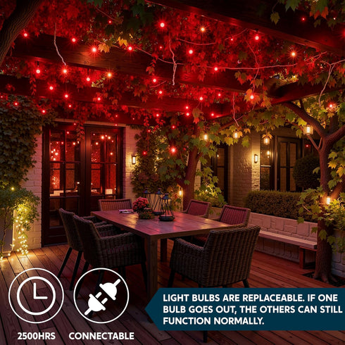 Indoor,100 Count Light,21.4 Joiedomi Christmas String Lights Mini Red FT Lighting Decor for Patio Dorm Classroom