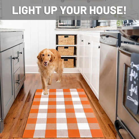 IOHOUZE Cotton Buffalo Plaid Check Rug, 27.5 x 43 Inches, Washable Woven Outdoor Indoor Welcome Mat
