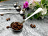 Long Handle Cupping Coffee Spoon, Demitasse spoon Stainless Steel 18/10 (SUS 304#) Food Safety Grade Dessert Sugar Spoon (6.1“)