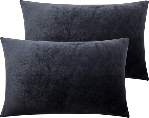 NTBAY 2 Pack Zippered Velvet Pillowcases, Super Soft Cozy Luxury Flannel, 20x30 Inches, Charcoal Grey