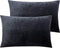 NTBAY 2 Pack Zippered Velvet Pillowcases, Super Soft Cozy Luxury Flannel, 20x30 Inches, Charcoal Grey