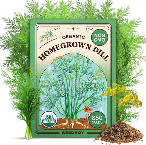 Seedboy Organic Dill Seeds for Planting Indoor and Outdoor, Non-GMO and USDA