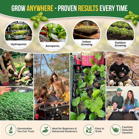 25 Pack 11,700 Packets 2026 Most Popular Herb Seeds Variety - Non-GMO Heirloom Seeds for Planting Herbs in Individual