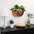 12x7 Allegorie Metal Wall Planter | Indoor or Outdoor Hanging Plant Pot | Farmhouse Decor & Boho Kitchen Decoration