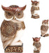 Owl Statue for Home Decor Accents, Shelf Bookshelf Table Office Living Room Decor Owl Figurine, Ideal Gifts for Bird