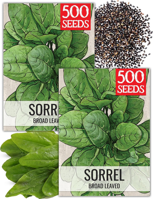 Seed Needs Large Leaf Sorrel Seeds for Planting - Heirloom Non-GMO &