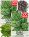 Seed Needs Large Leaf Sorrel Seeds for Planting - Heirloom Non-GMO &